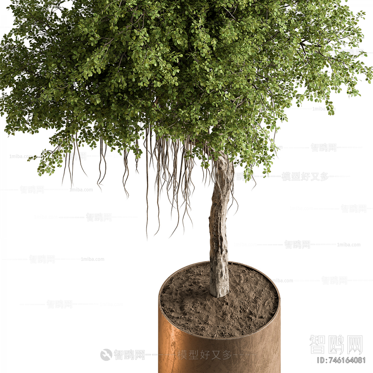 Modern Ground Green Plant Potted Plants