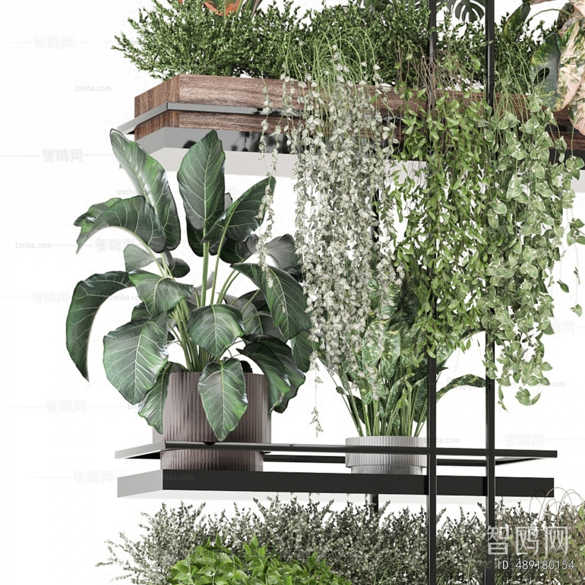 Modern Potted Green Plant