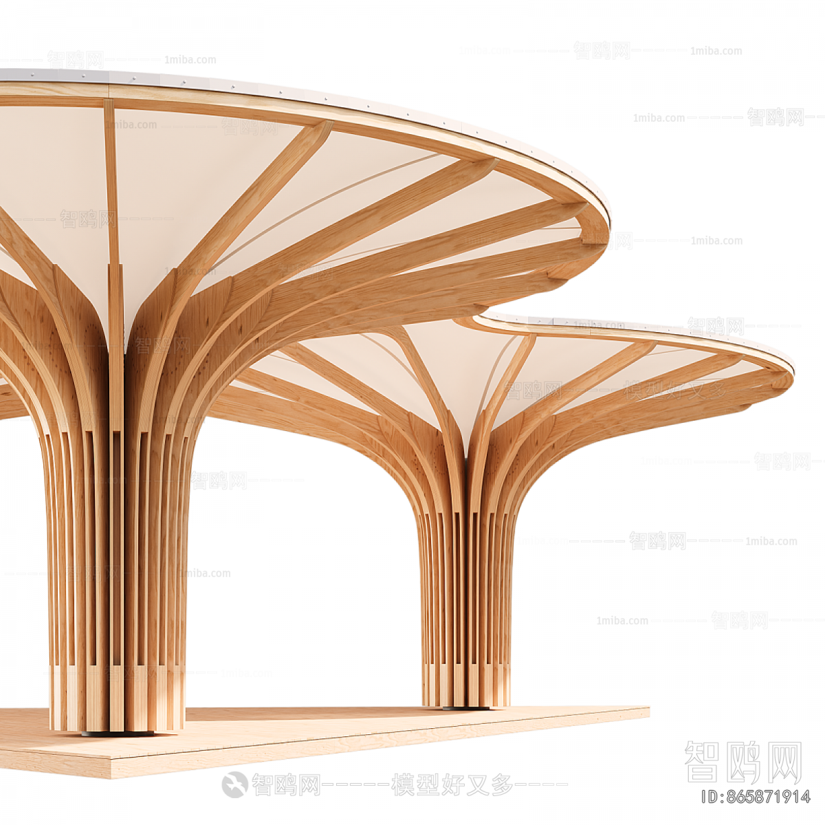 Modern Gallery Frame