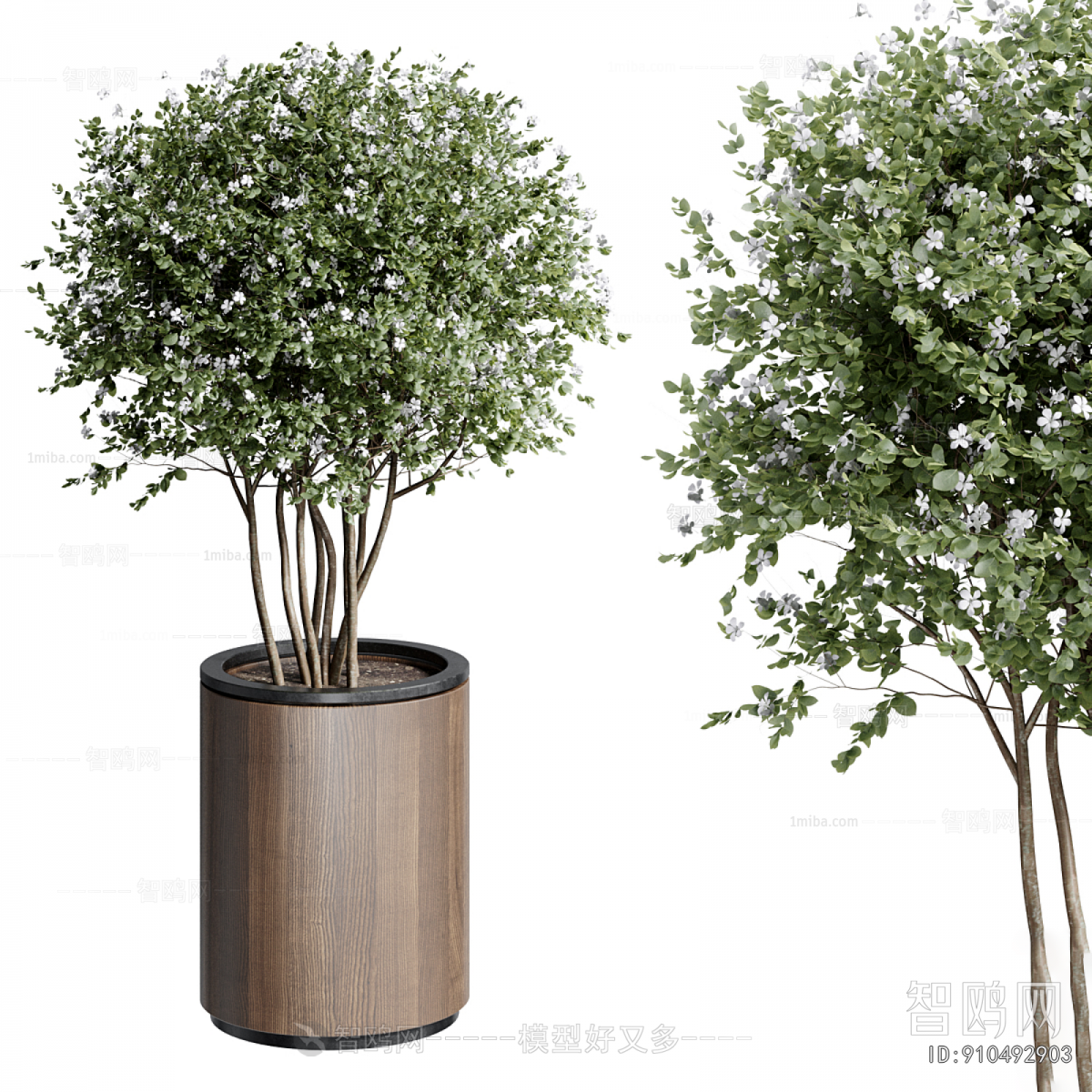 Modern Ground Green Plant Potted Plants