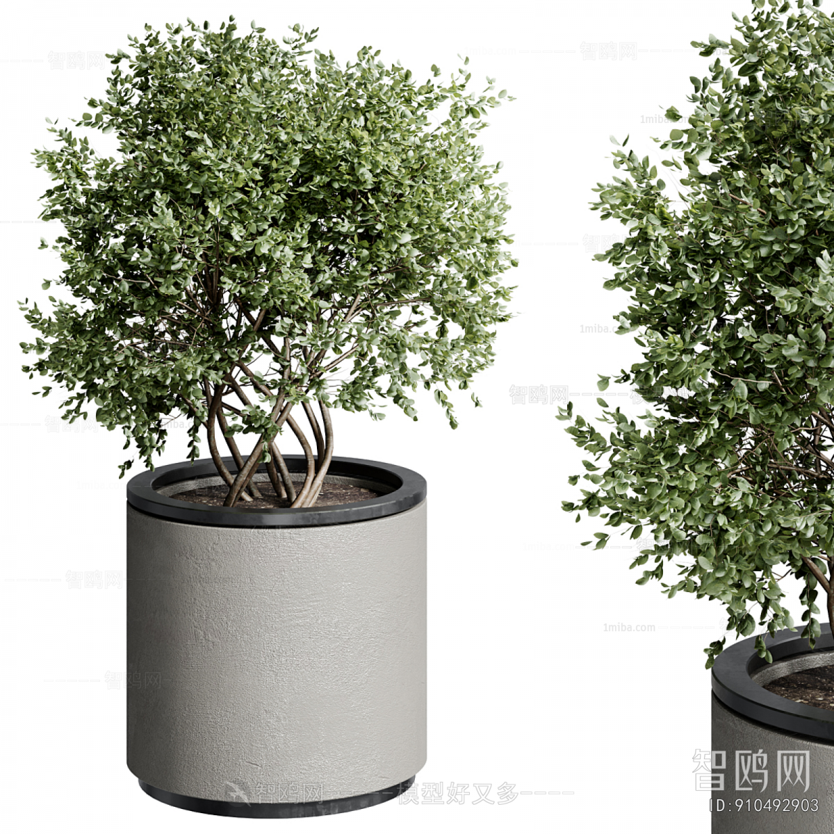 Modern Ground Green Plant Potted Plants