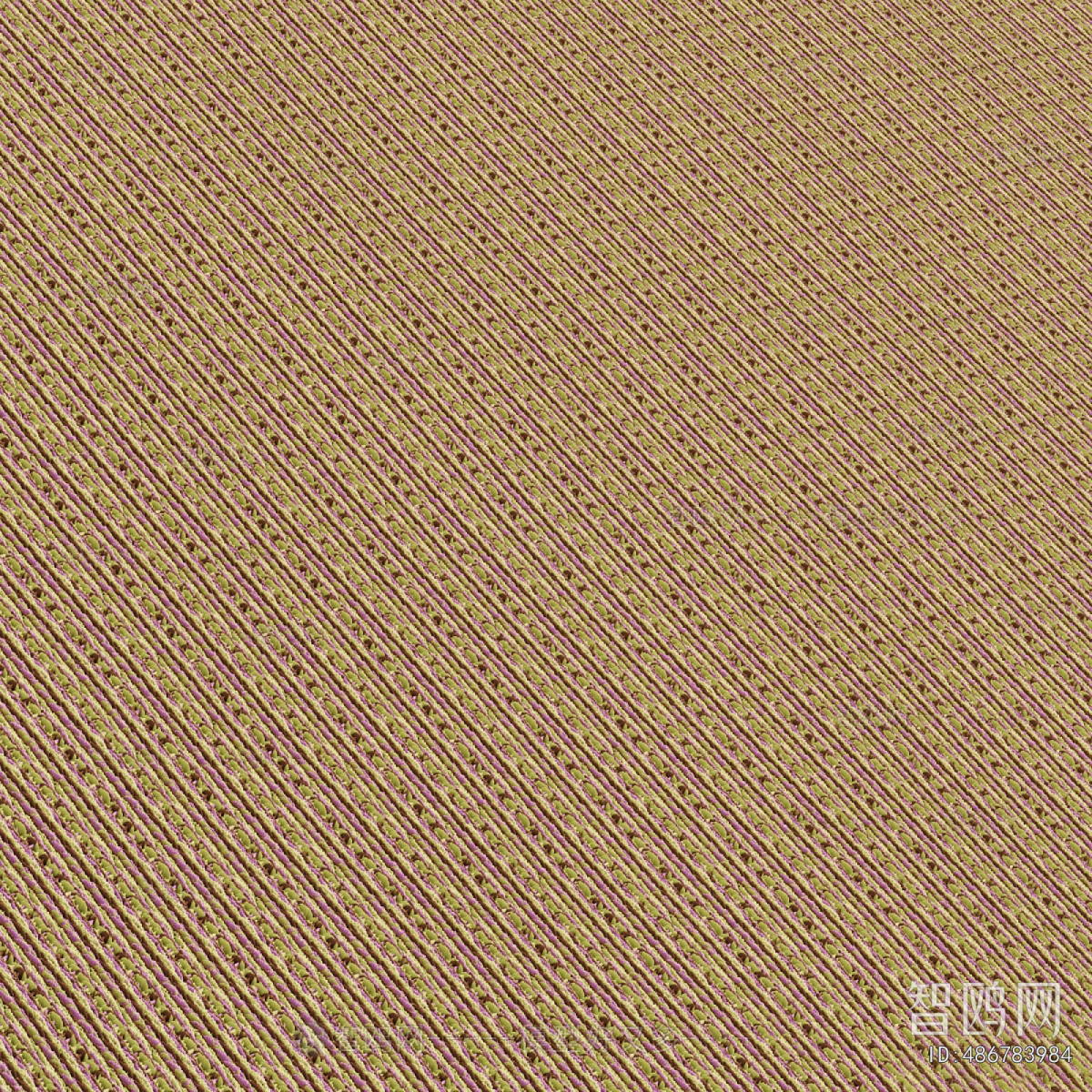 Modern Clothes, Bags And Shoes