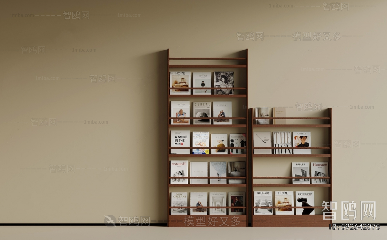 Modern Bookshelf