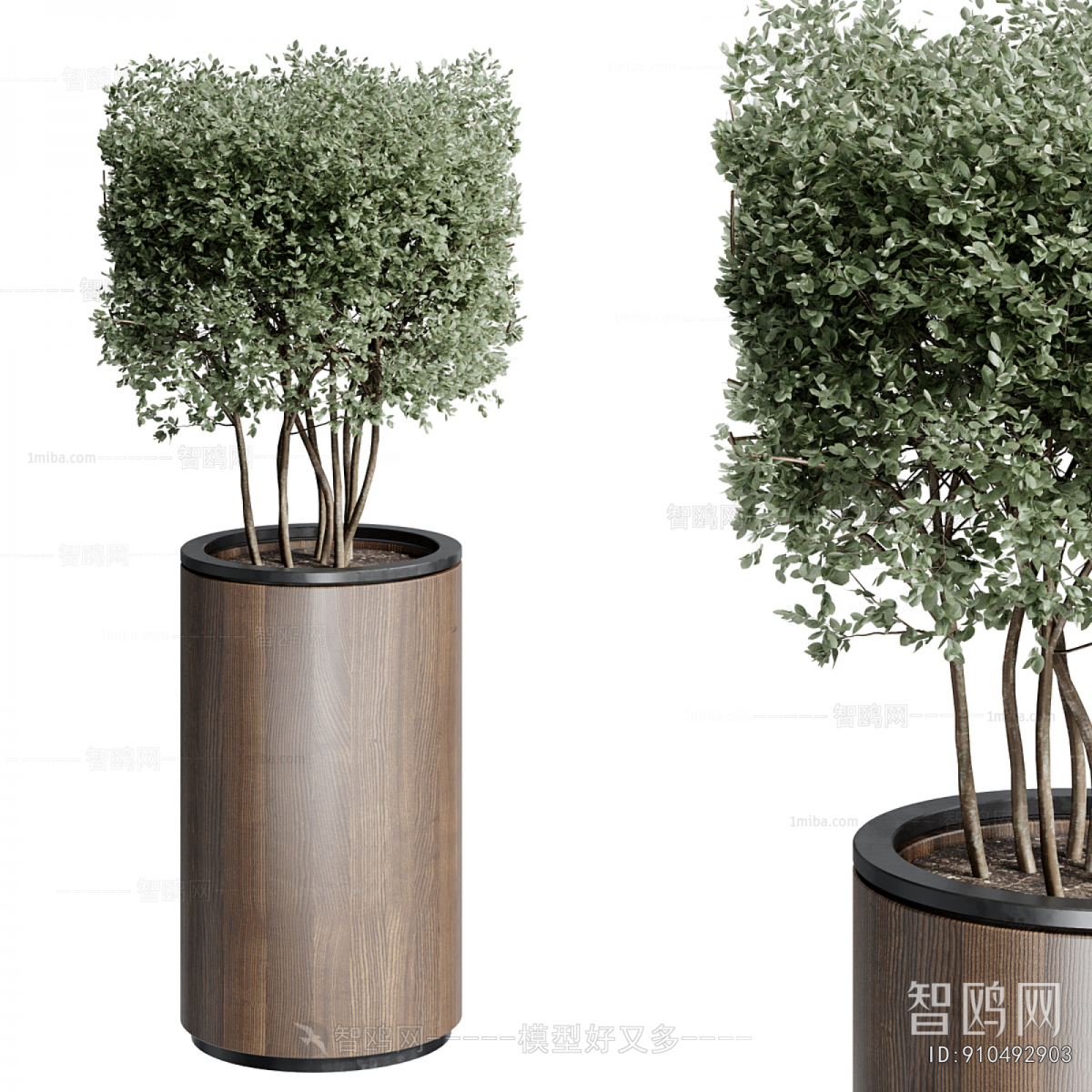 Modern Ground Green Plant Potted Plants