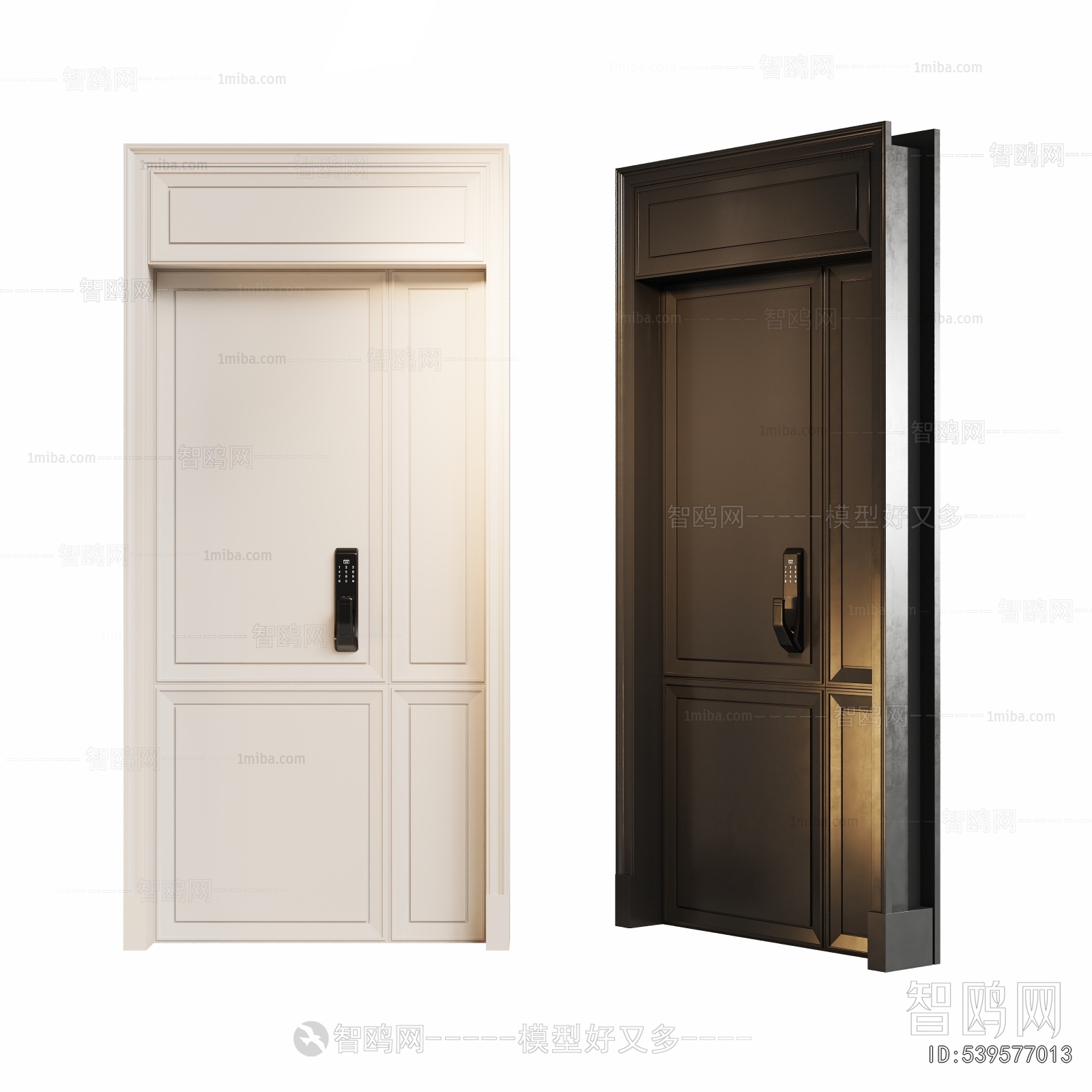 Modern Entrance Door