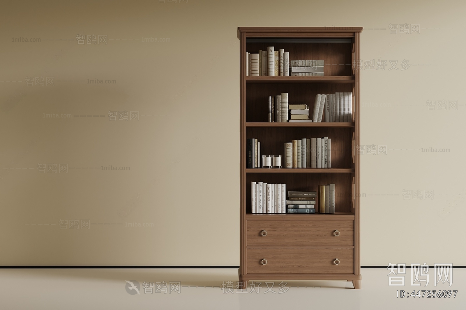 Modern Bookcase