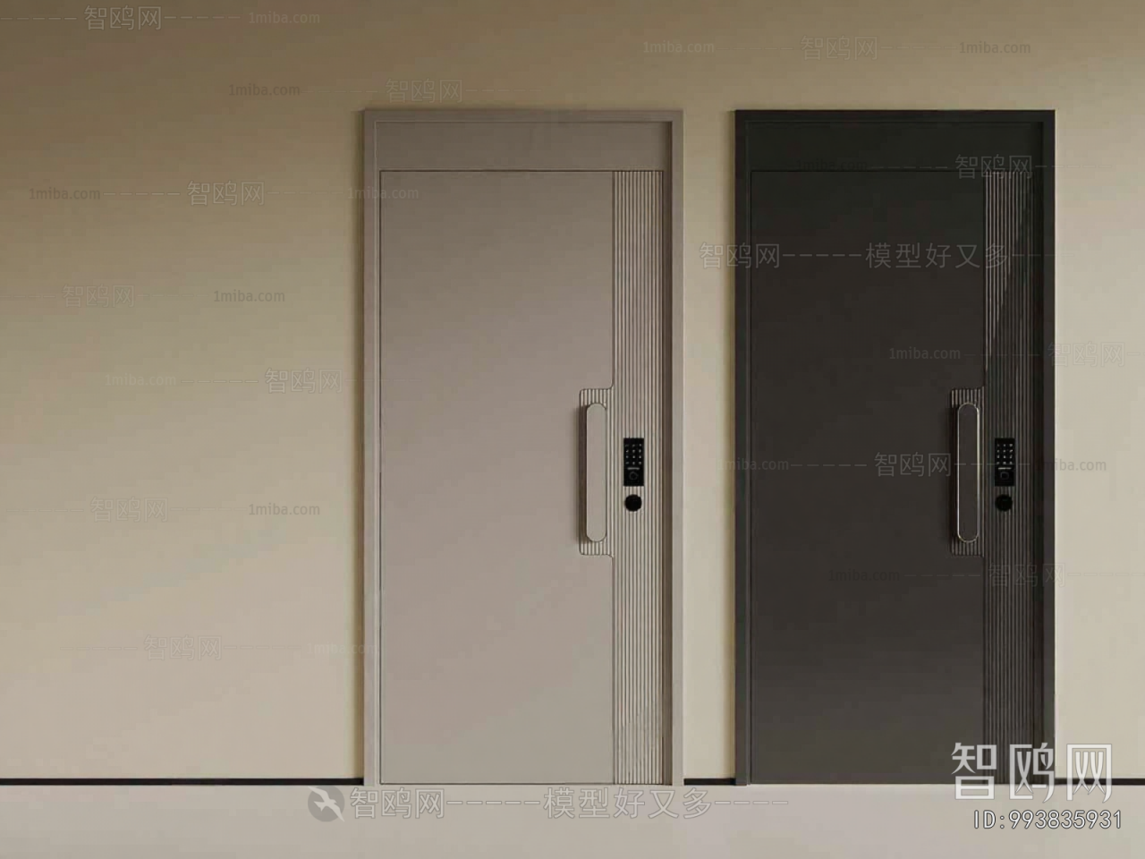 Modern Entrance Door