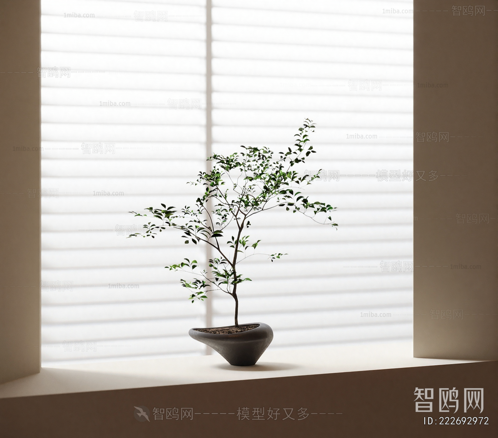 Modern Potted Green Plant