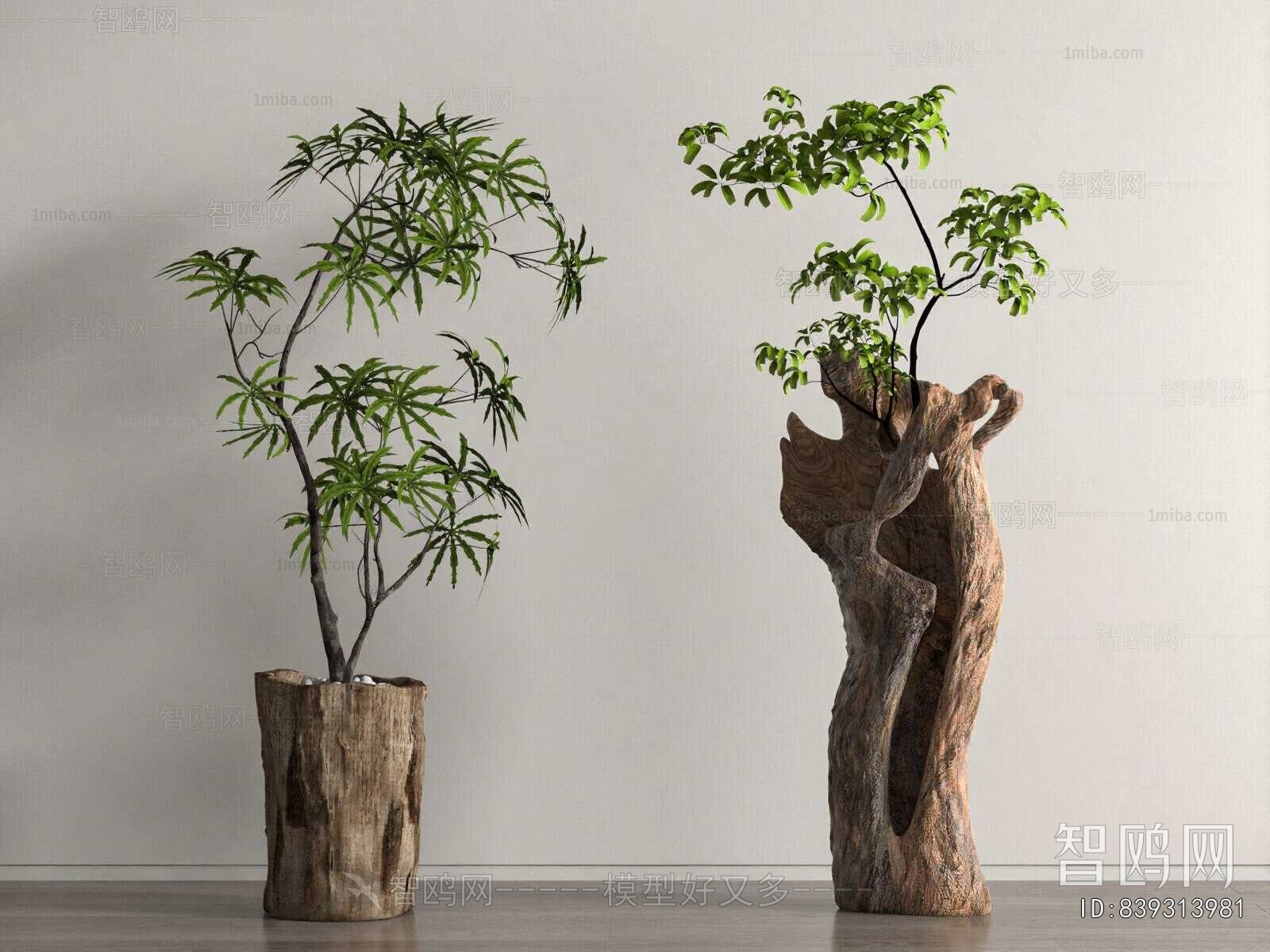 New Chinese Style Ground Green Plant Potted Plants