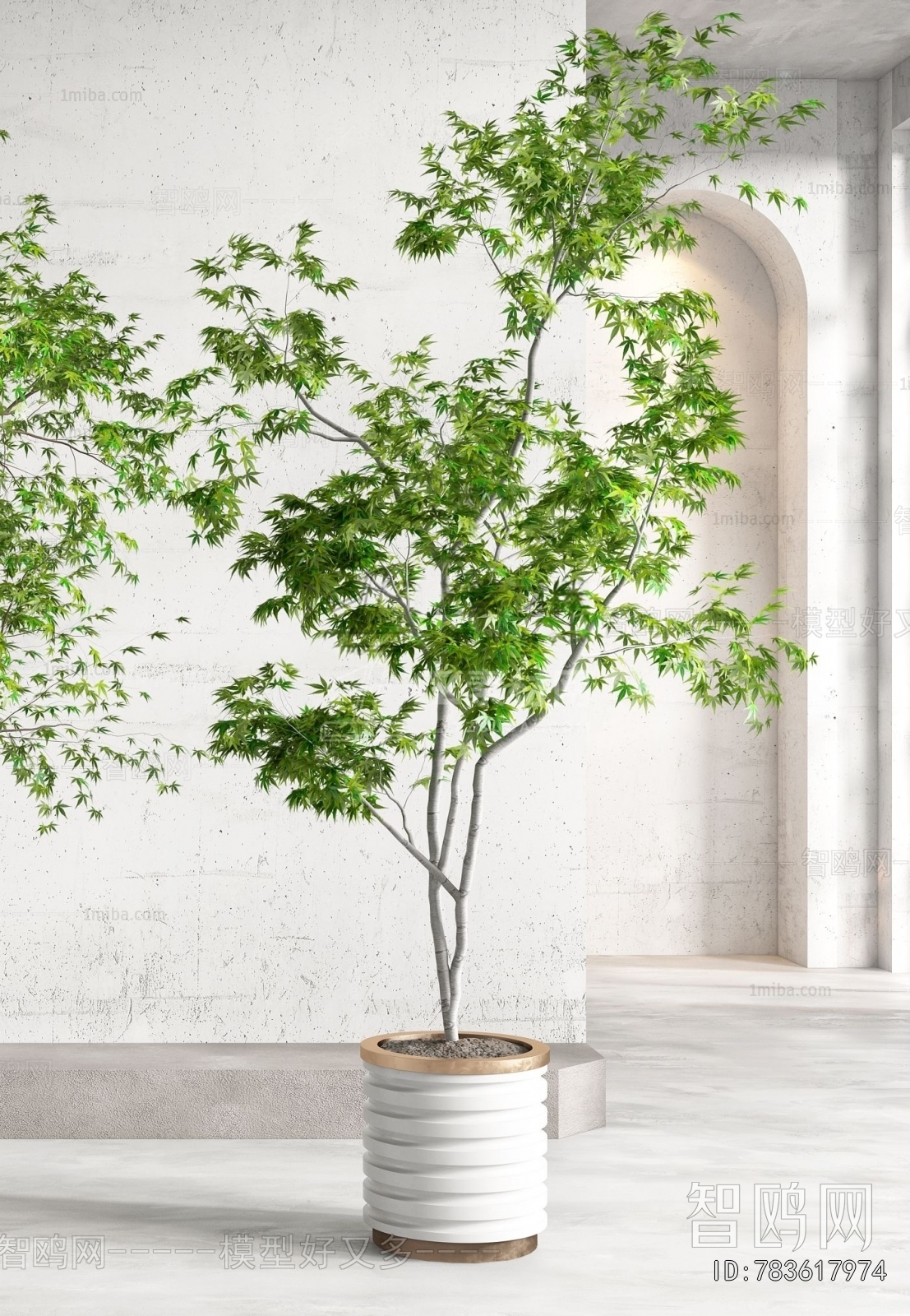 Modern Ground Green Plant Potted Plants