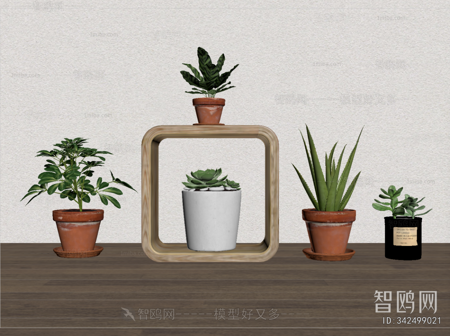 Modern Potted Green Plant