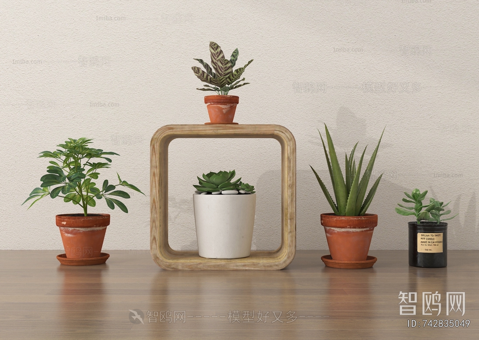 Modern Potted Green Plant
