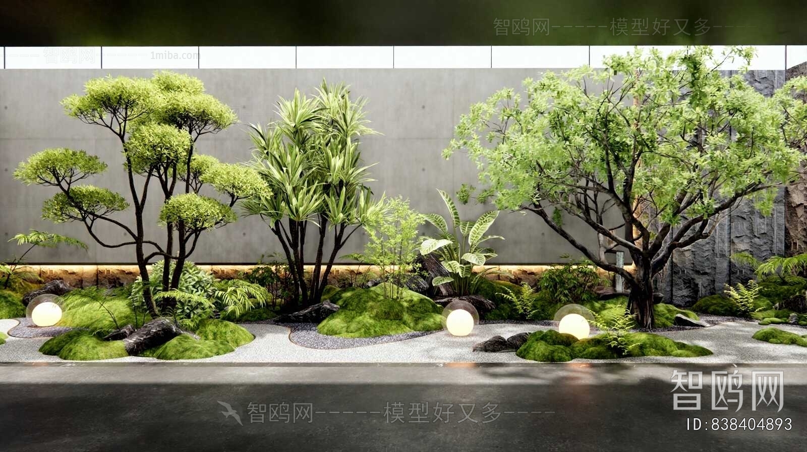 Modern Plant Landscaping