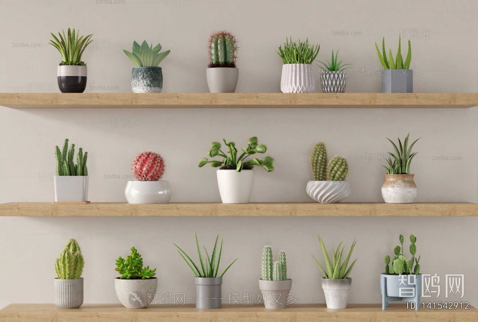 Modern Potted Green Plant