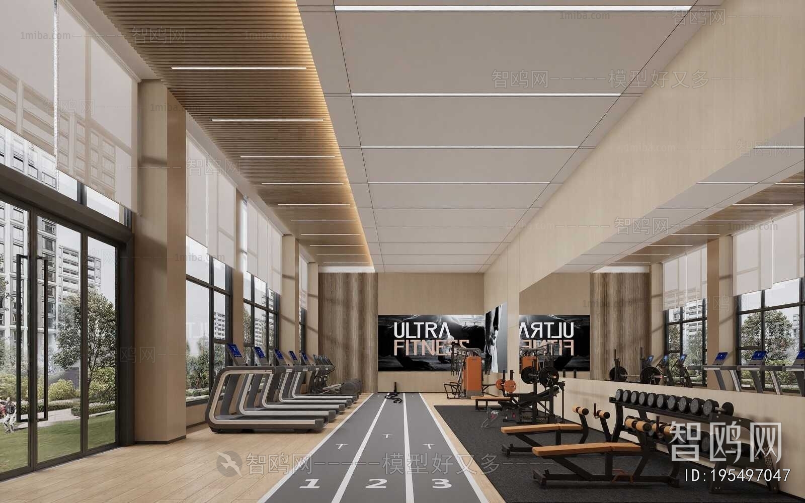 Modern Gym