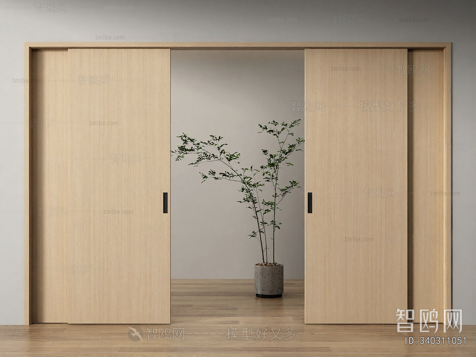 Modern Sliding Door