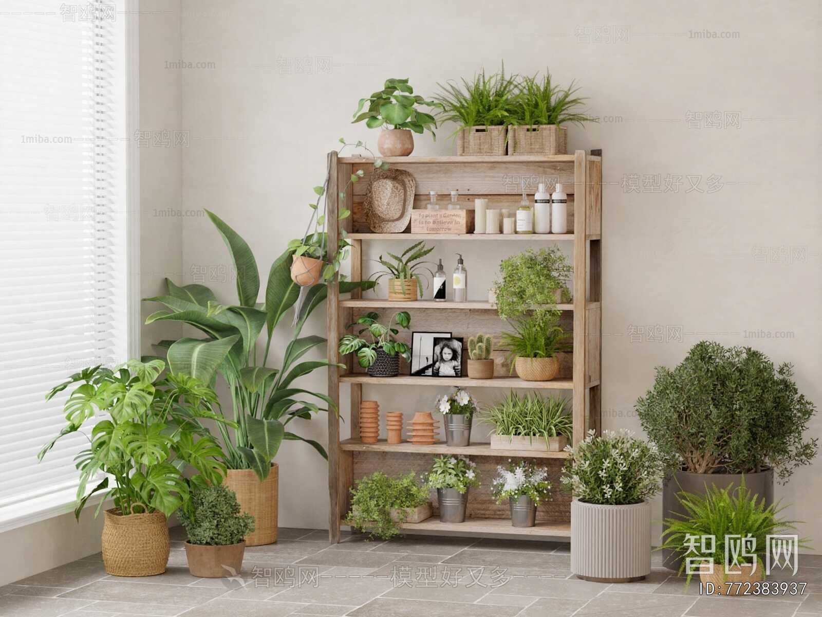 Modern Ground Green Plant Potted Plants