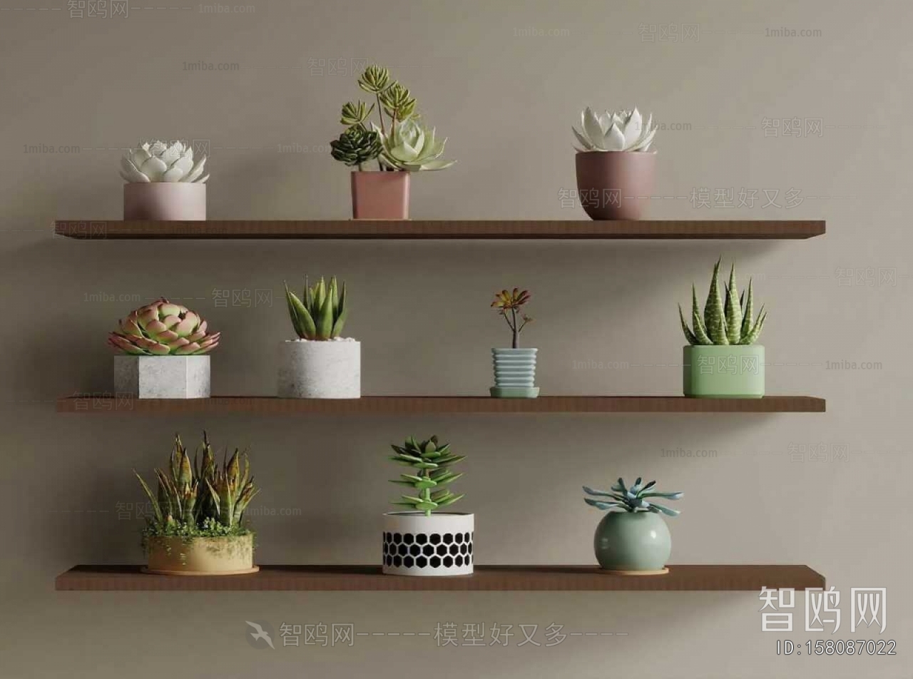 Modern Potted Green Plant