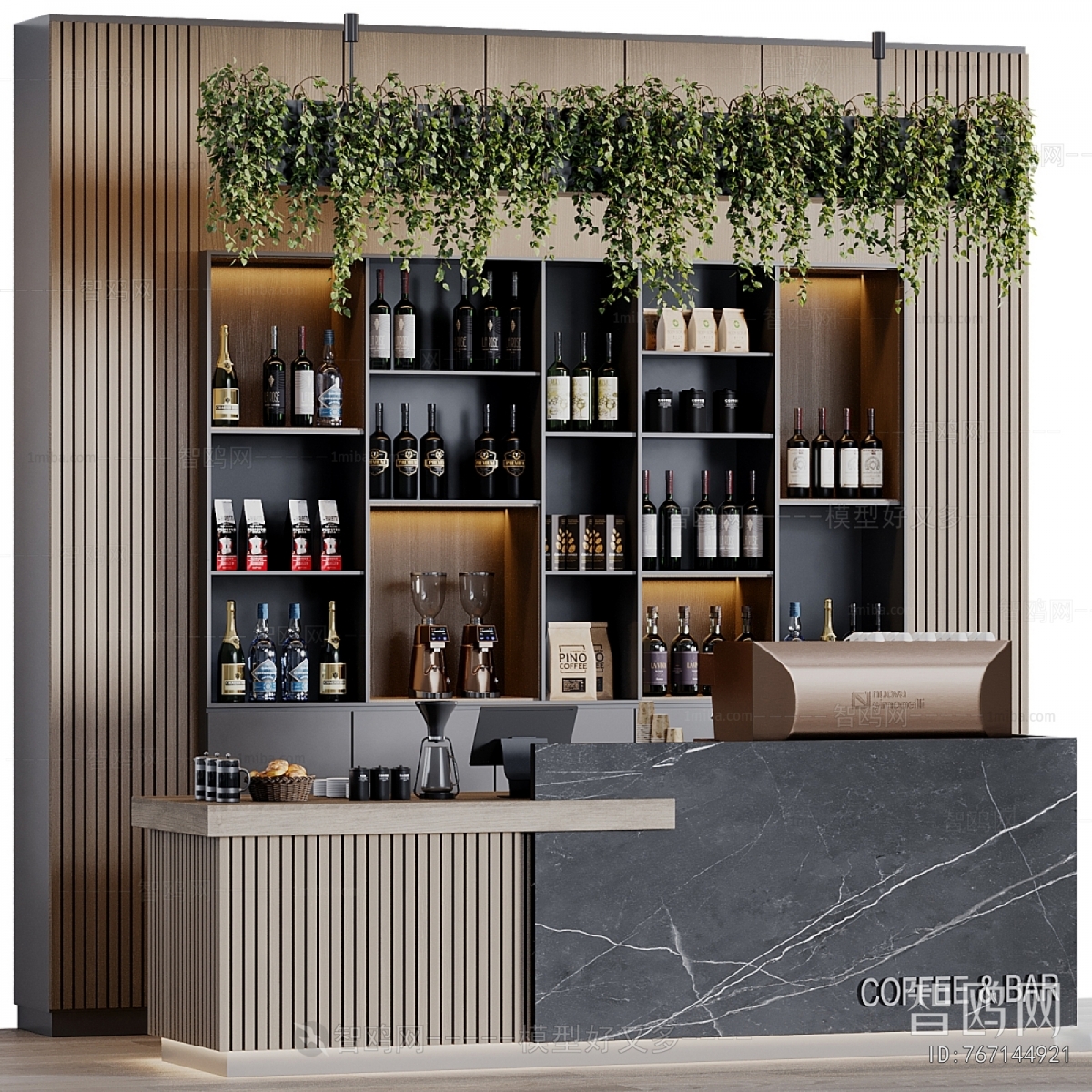 Modern Counter Bar