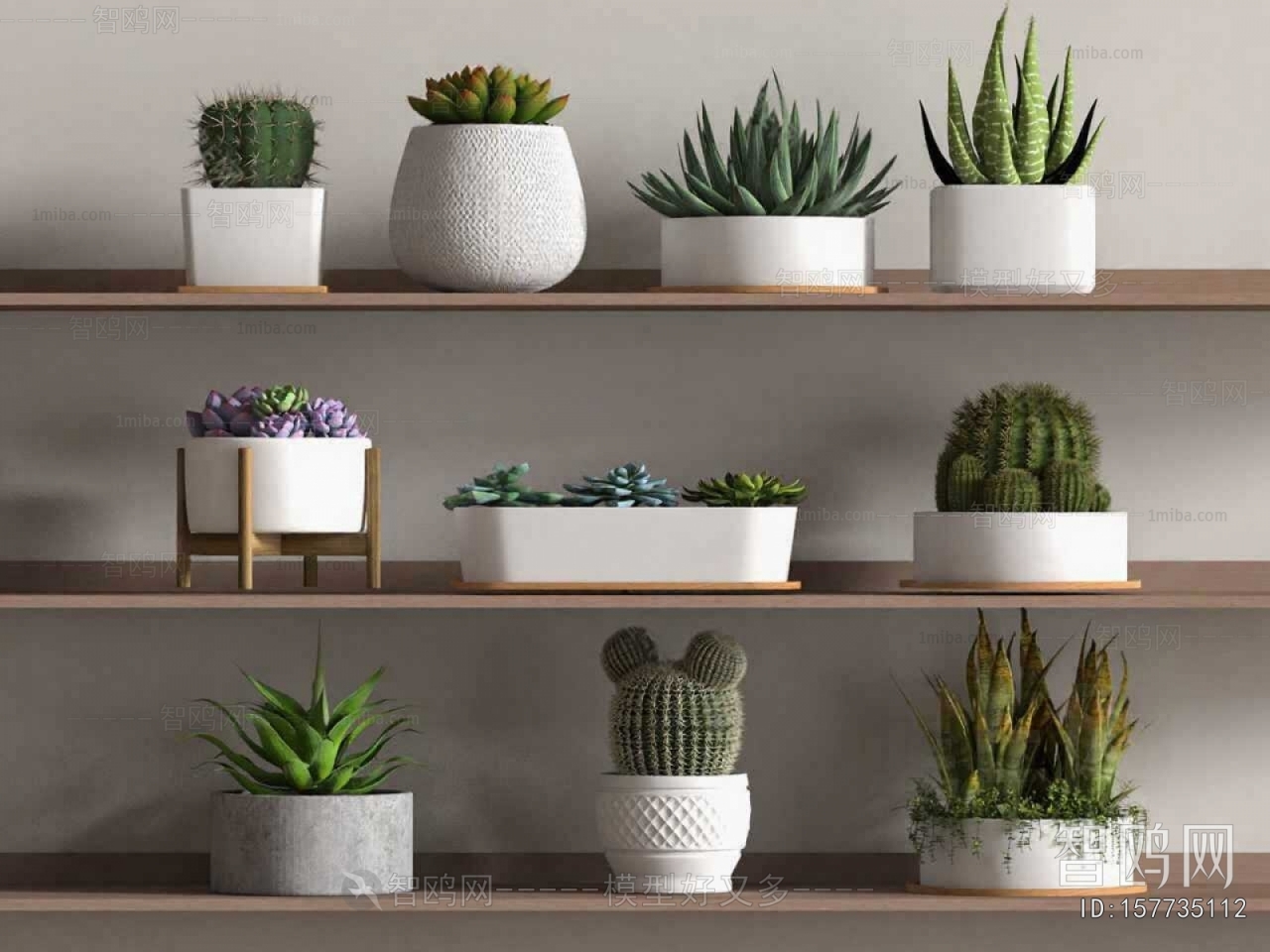 Modern Potted Green Plant