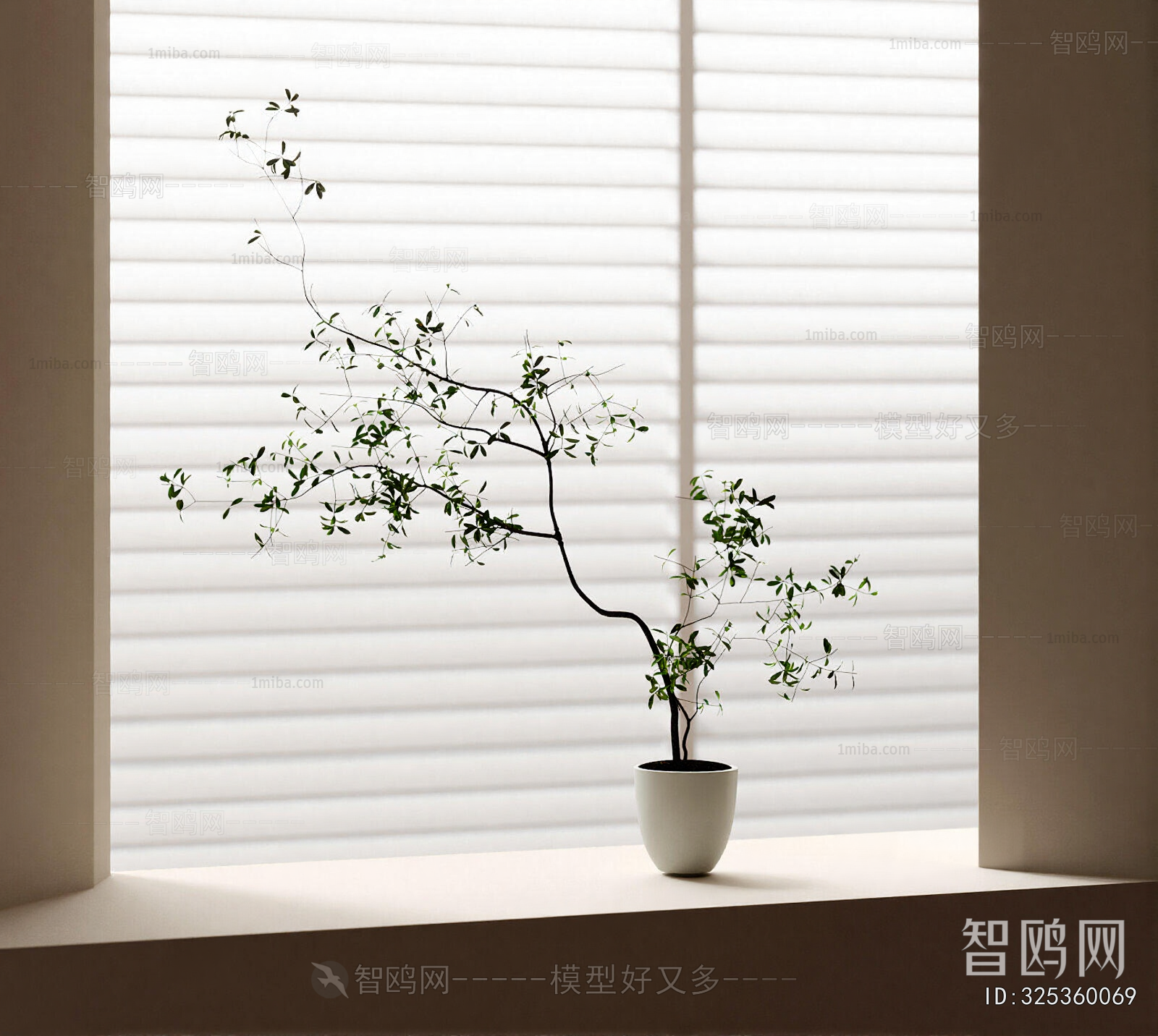 Modern Potted Green Plant