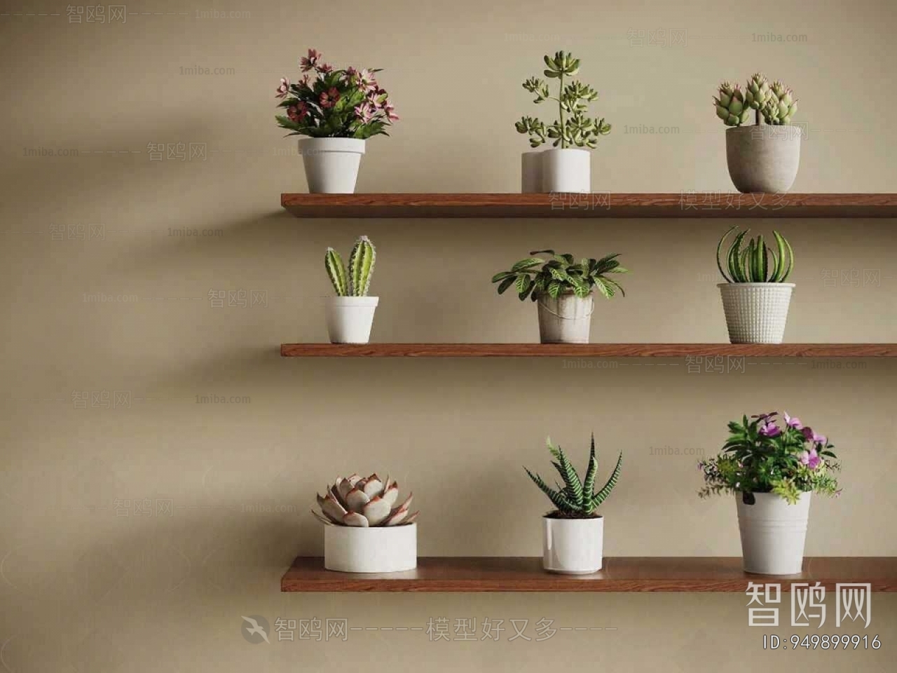 Modern Potted Green Plant