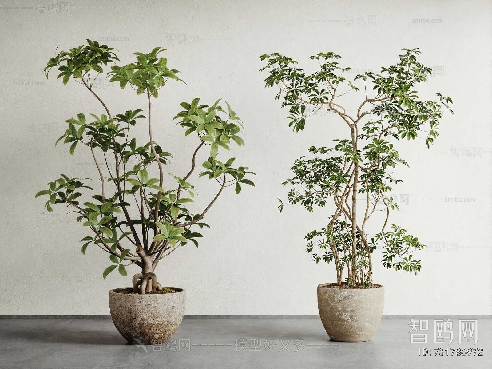 Modern Ground Green Plant Potted Plants