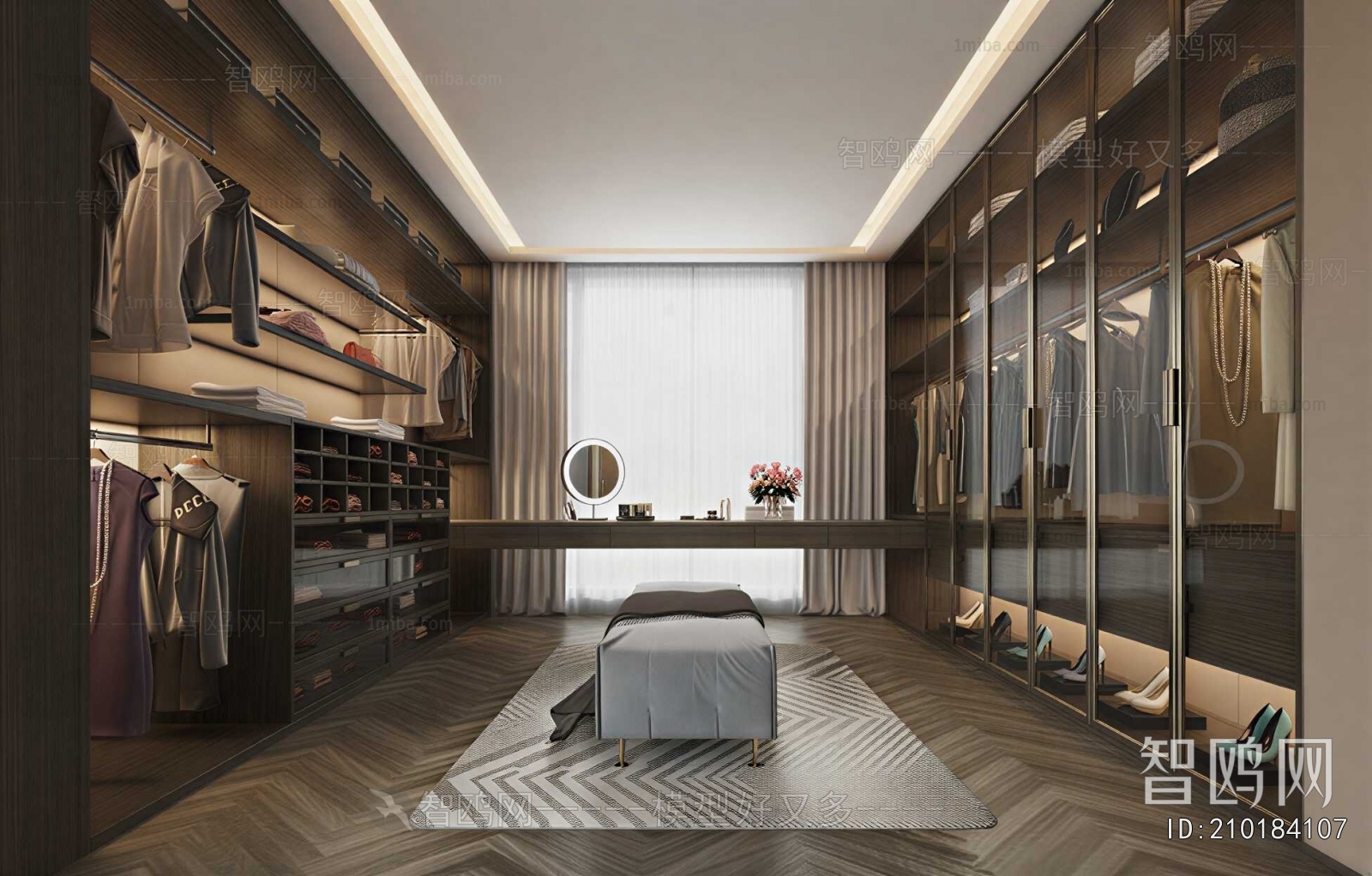 Modern Clothes Storage Area