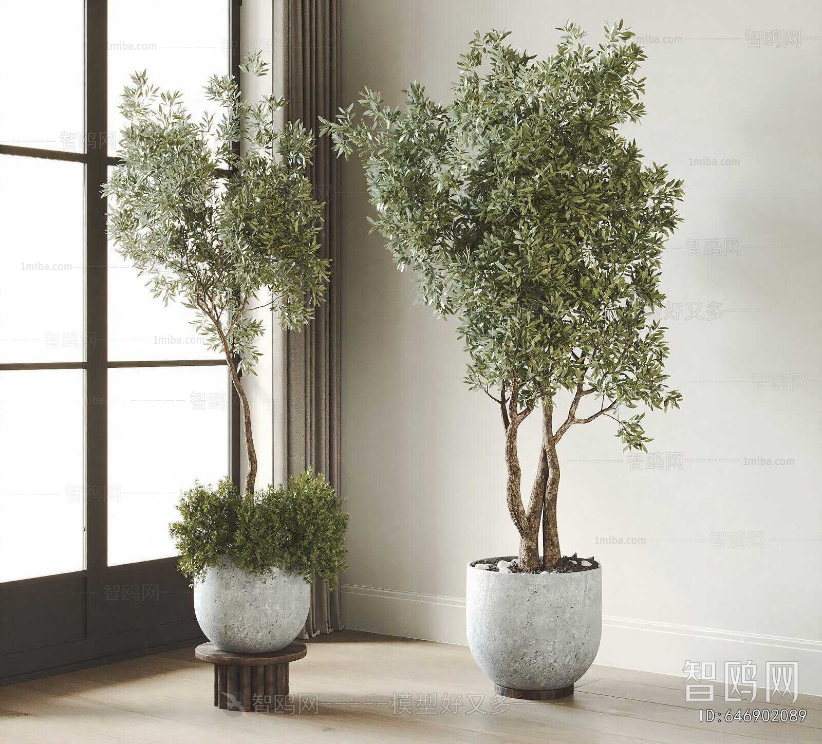 Modern Ground Green Plant Potted Plants