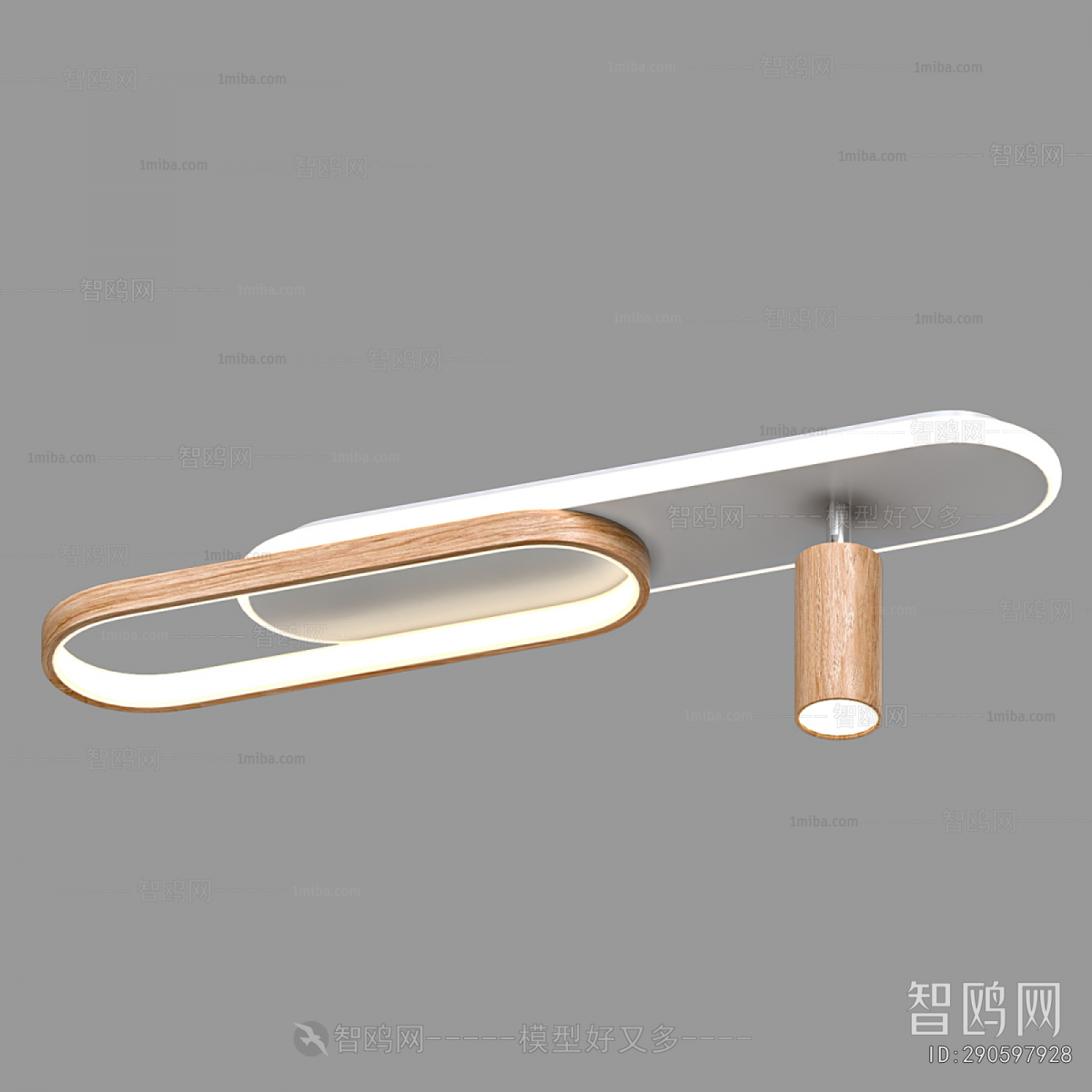 Modern Ceiling Ceiling Lamp