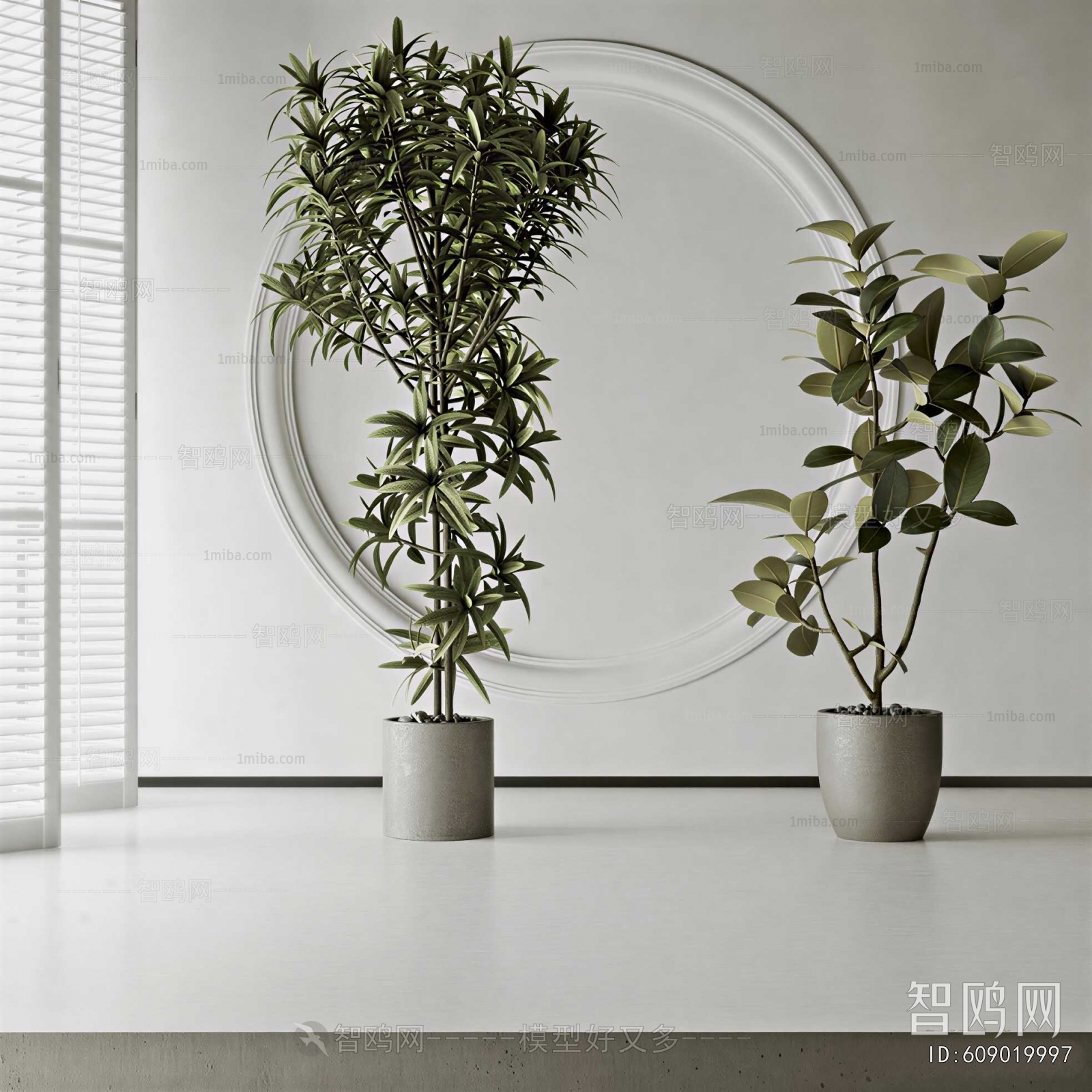 Modern Ground Green Plant Potted Plants