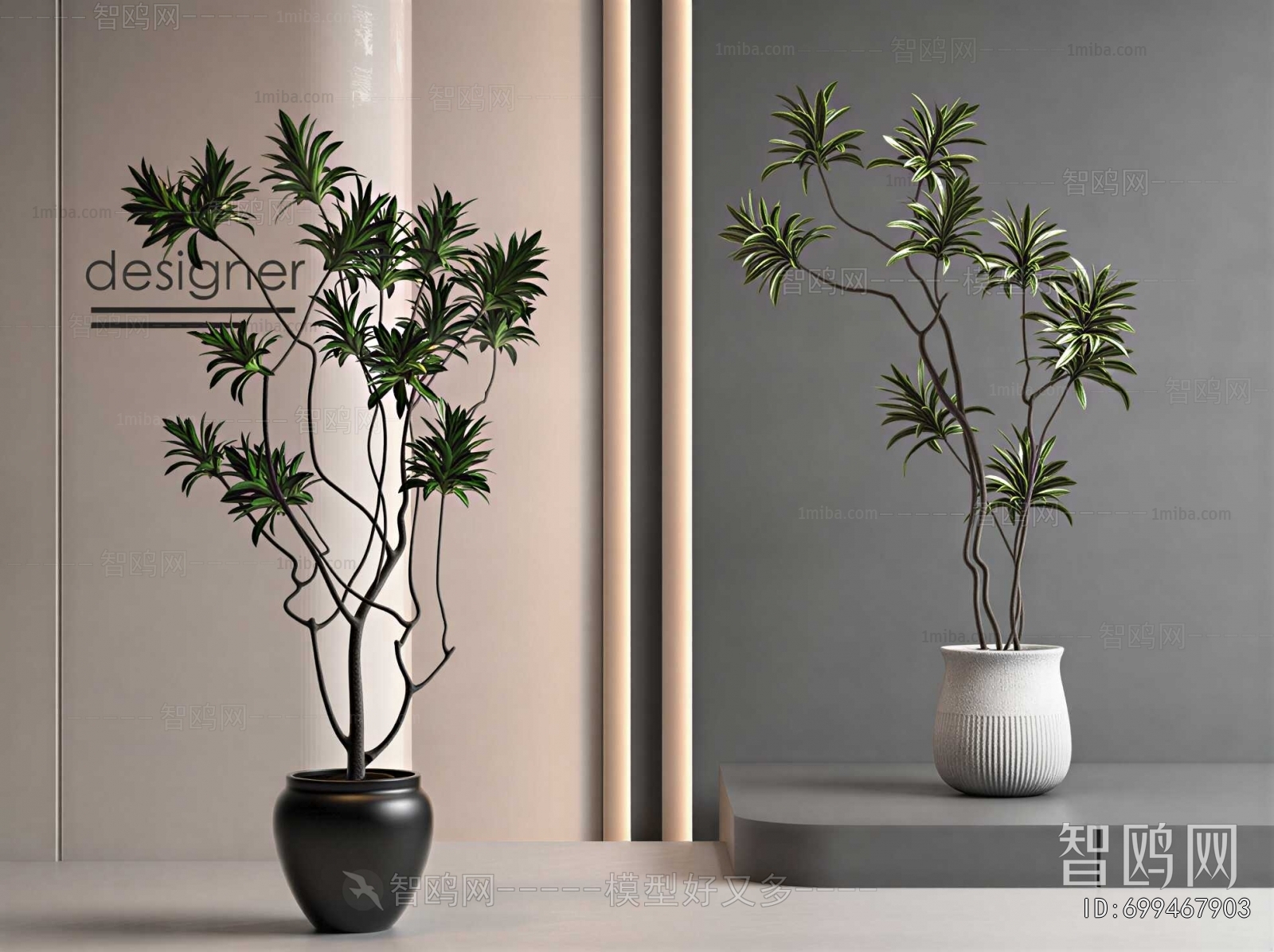 Modern Ground Green Plant Potted Plants
