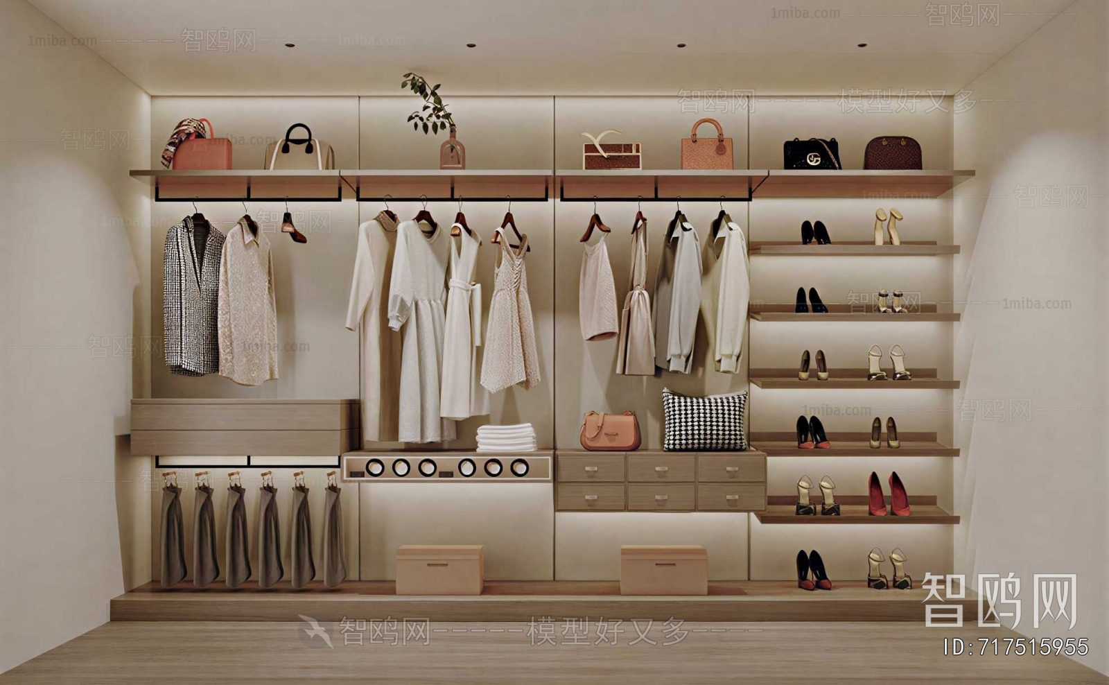 Modern Clothes Storage Area