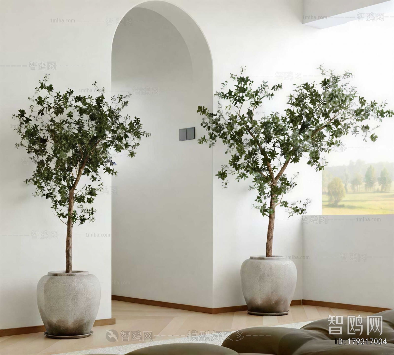 Modern Ground Green Plant Potted Plants