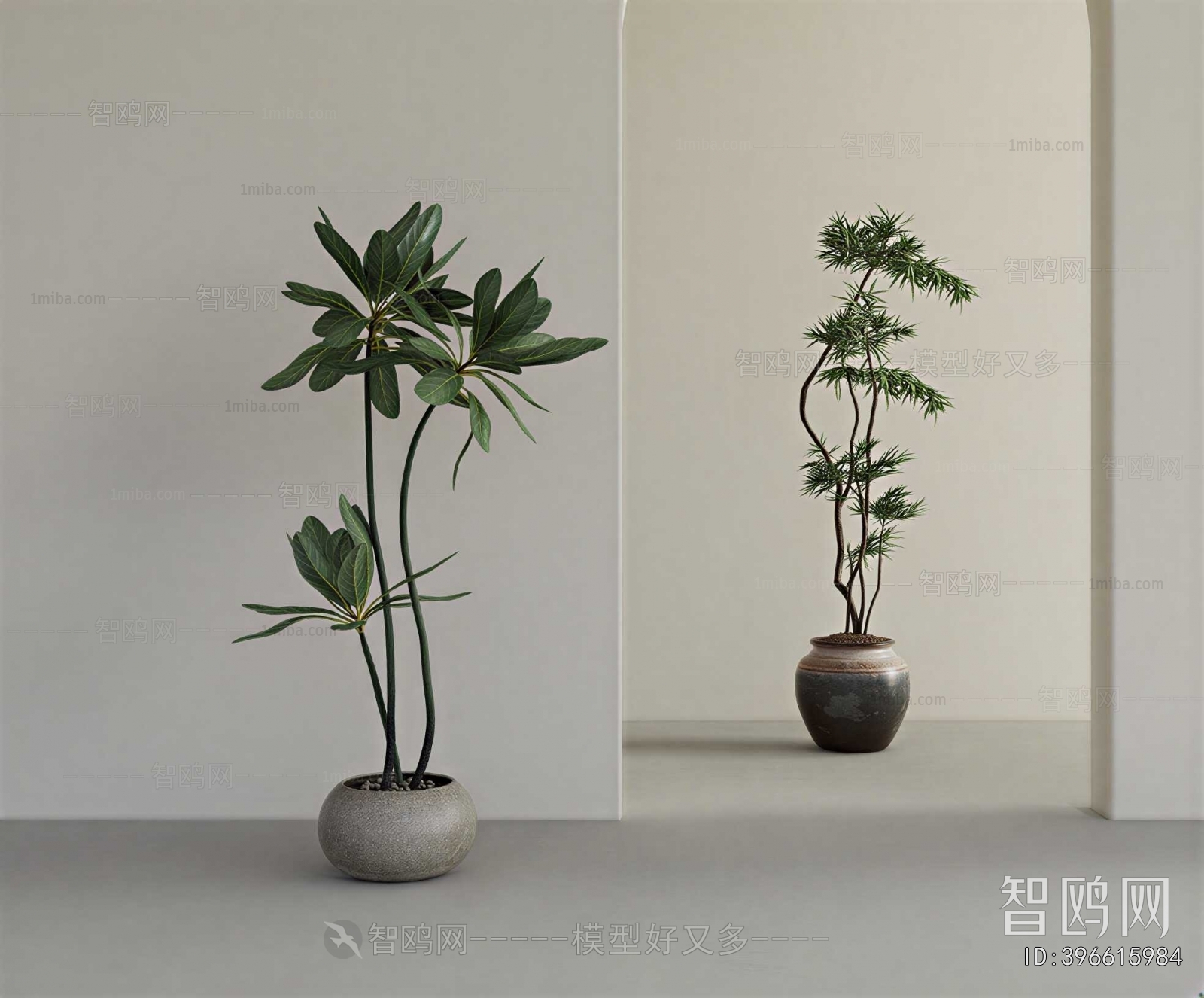 Modern Ground Green Plant Potted Plants