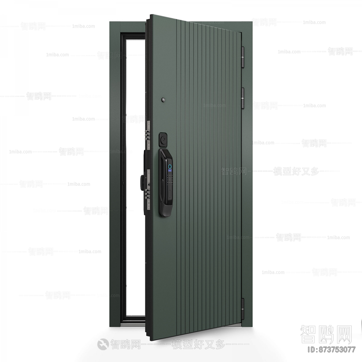 Modern Entrance Door