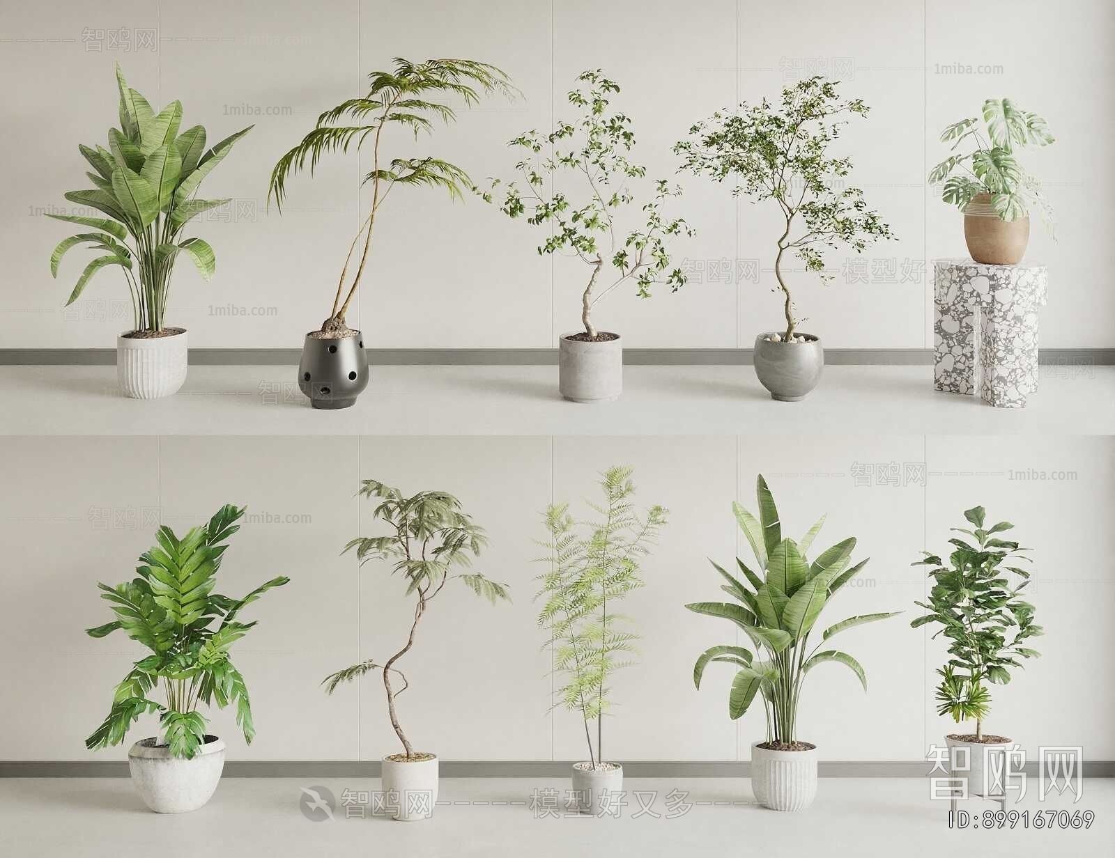 Modern Ground Green Plant Potted Plants