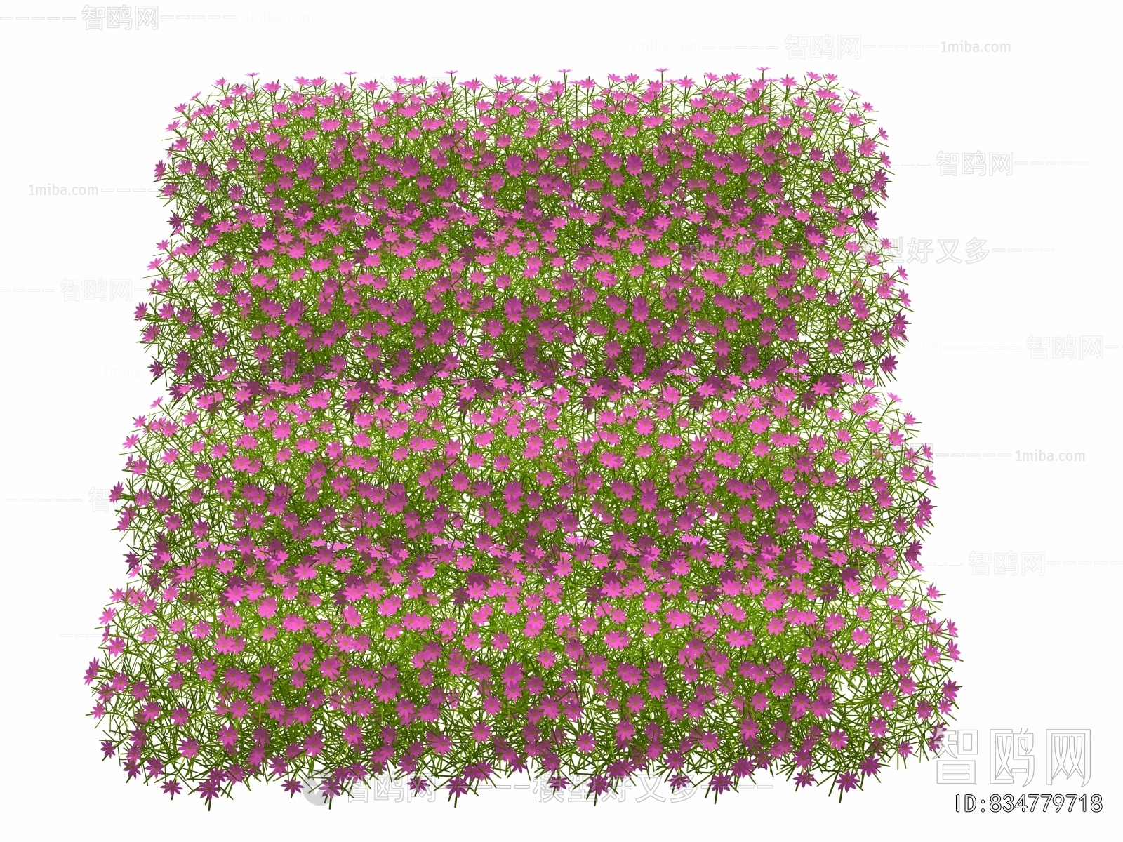 Modern Flowers And Grass