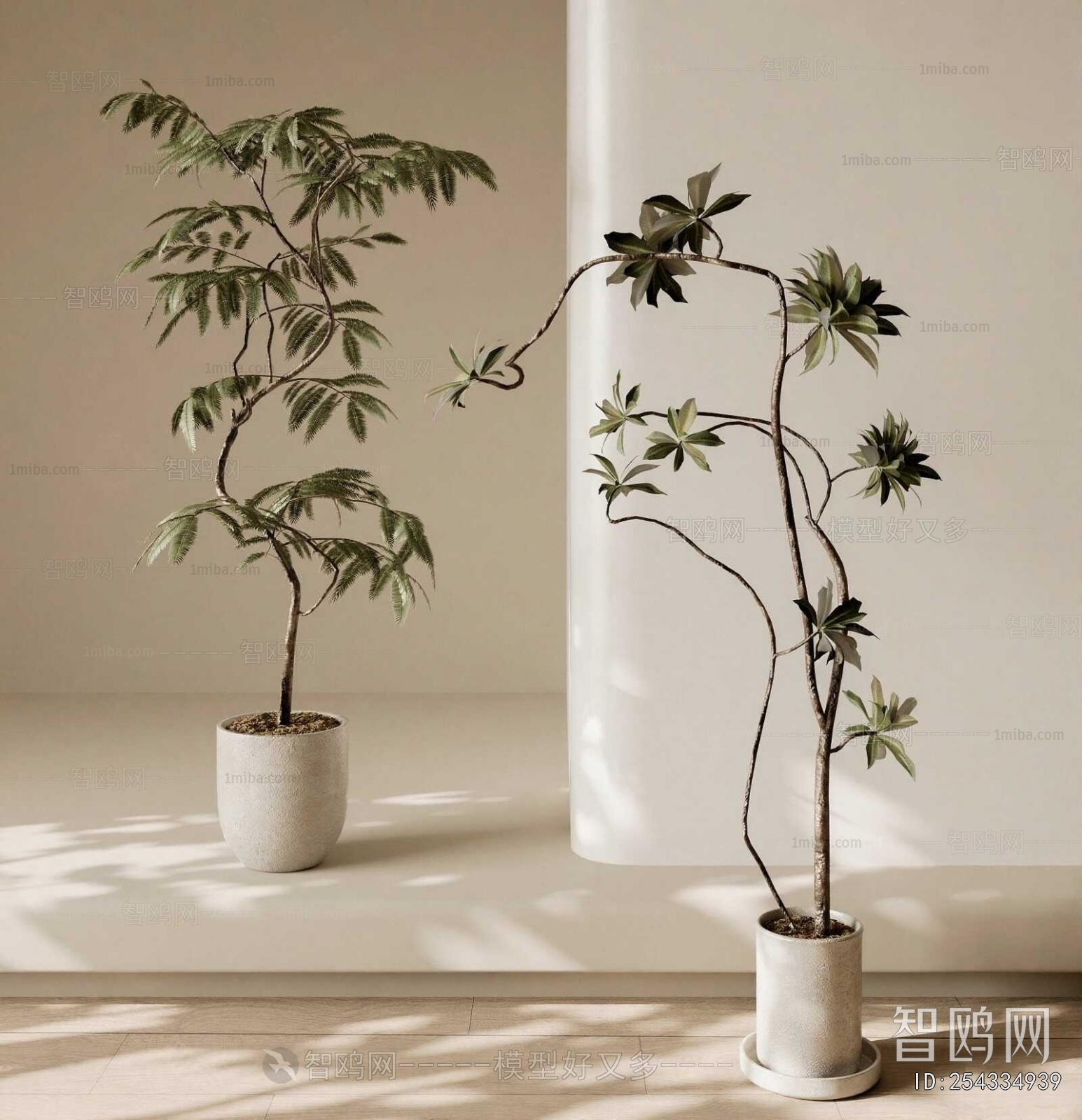 Modern Ground Green Plant Potted Plants