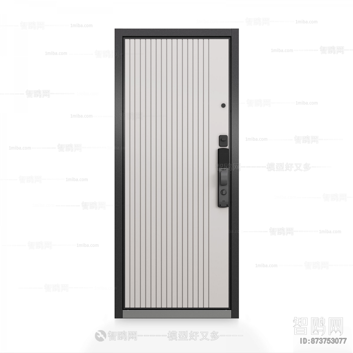 Modern Entrance Door