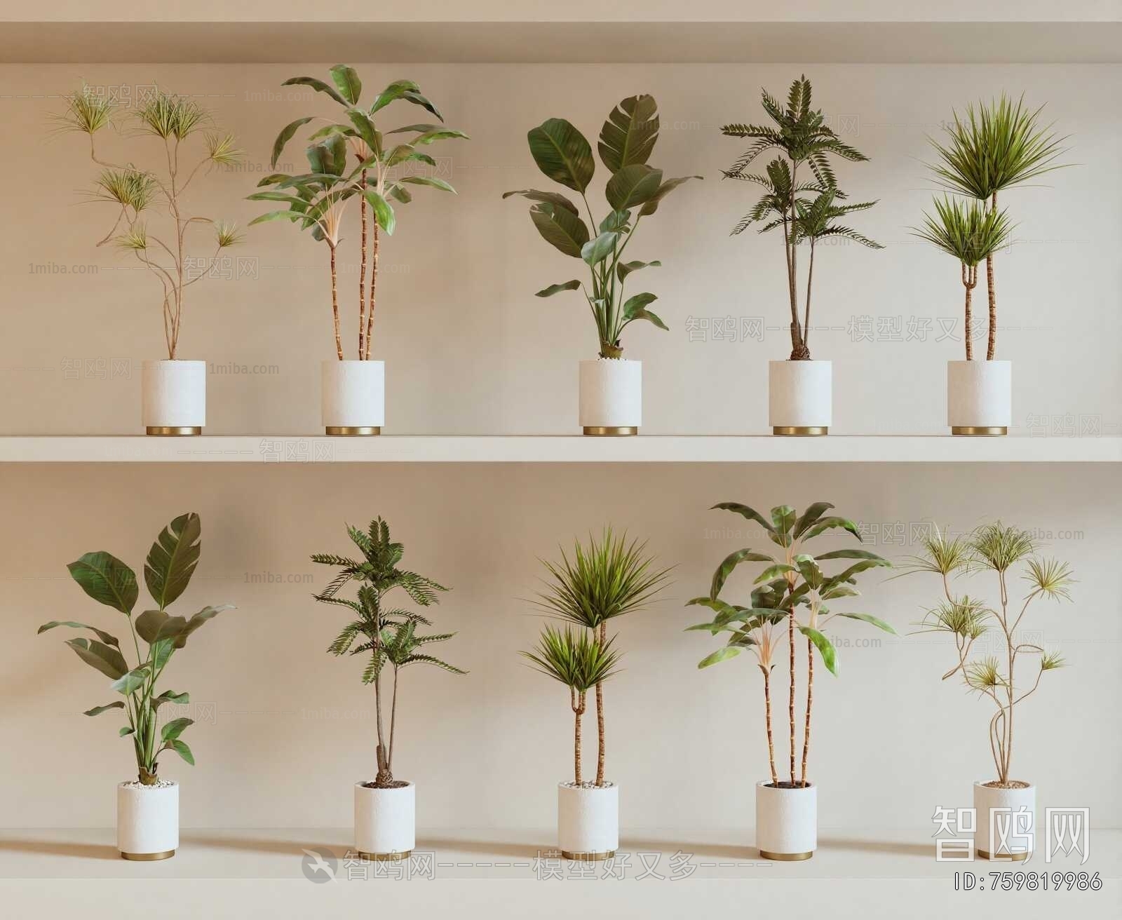 Modern Ground Green Plant Potted Plants