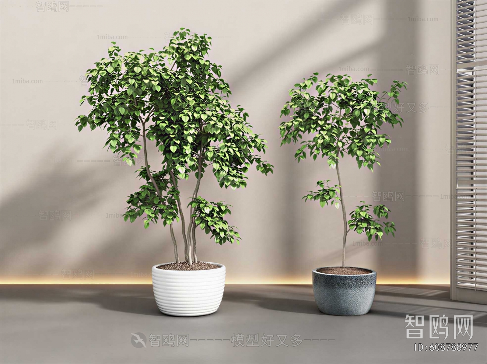 Modern Ground Green Plant Potted Plants