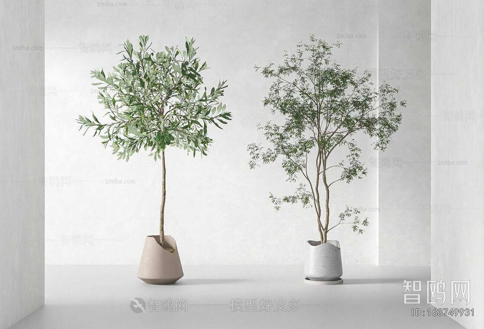 Modern Ground Green Plant Potted Plants