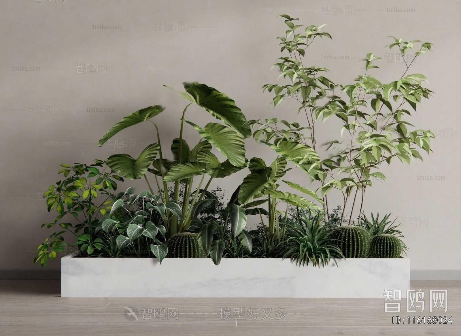 Modern Flower Bed, Flower Bowl, Flower Box