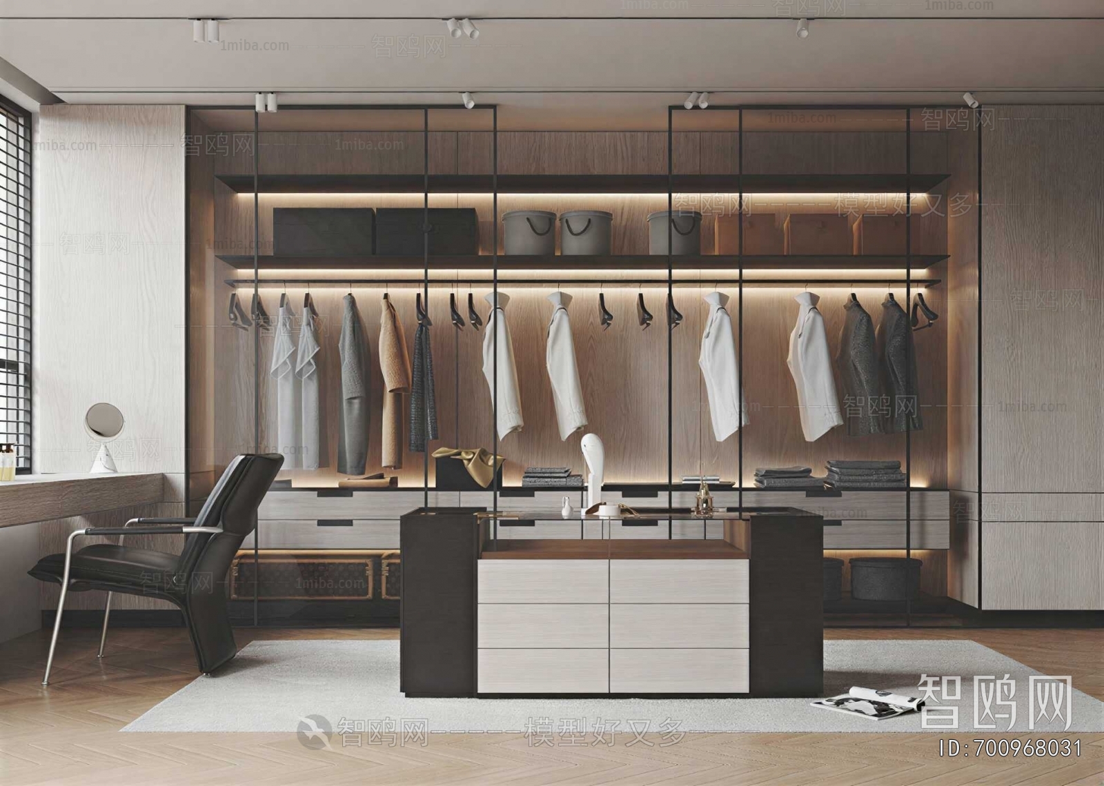 Modern Clothes Storage Area