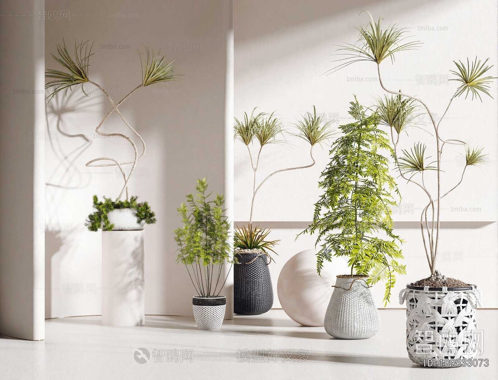 Modern Ground Green Plant Potted Plants