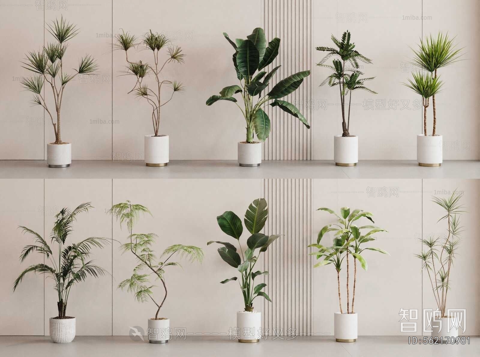 Modern Ground Green Plant Potted Plants