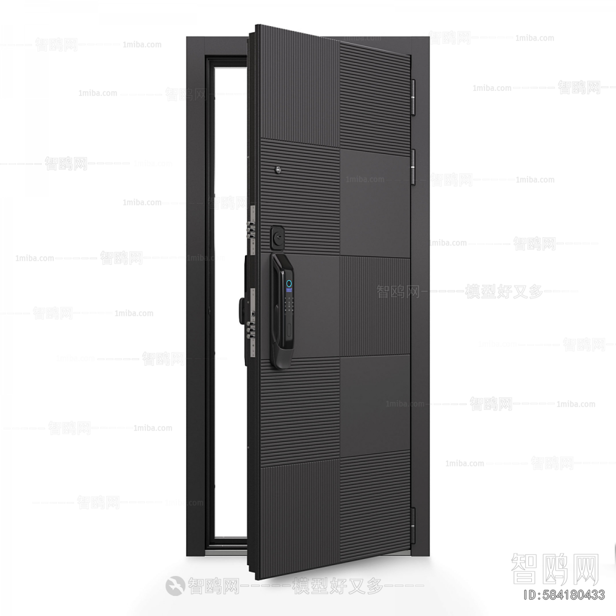 Modern Entrance Door