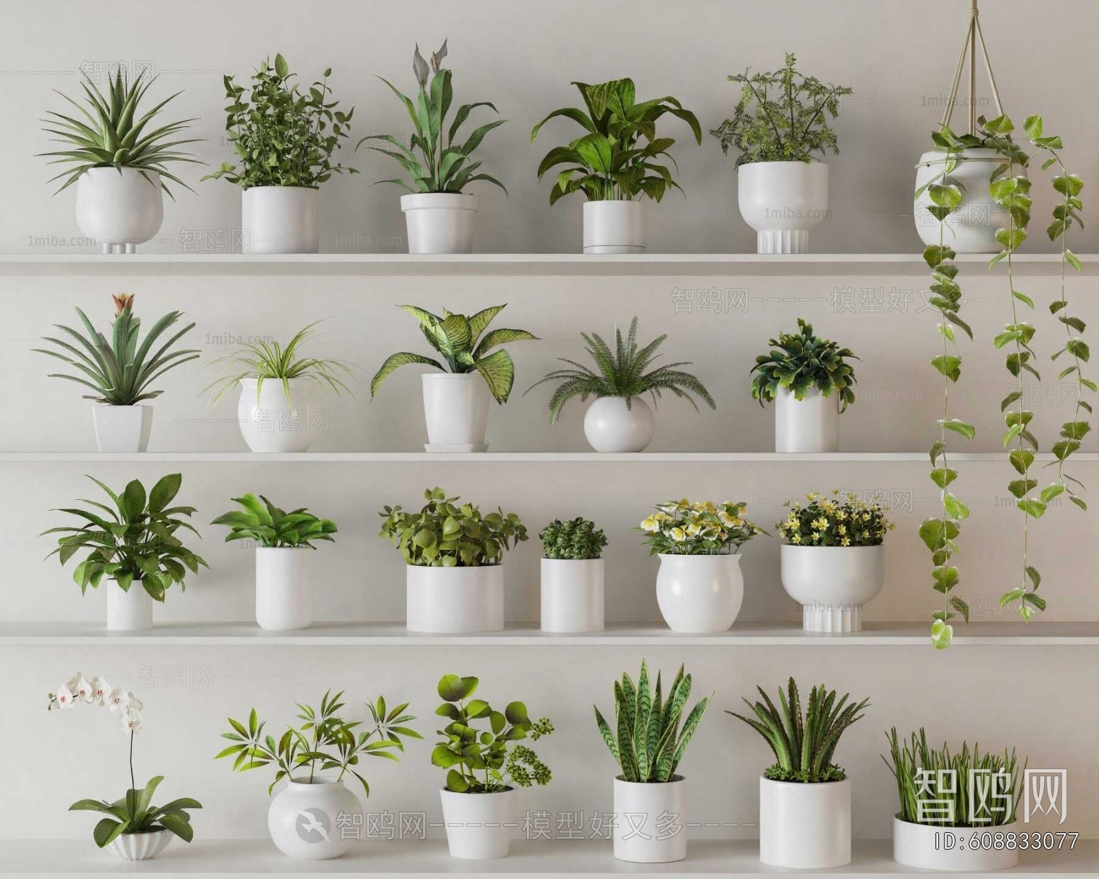 Modern Potted Green Plant