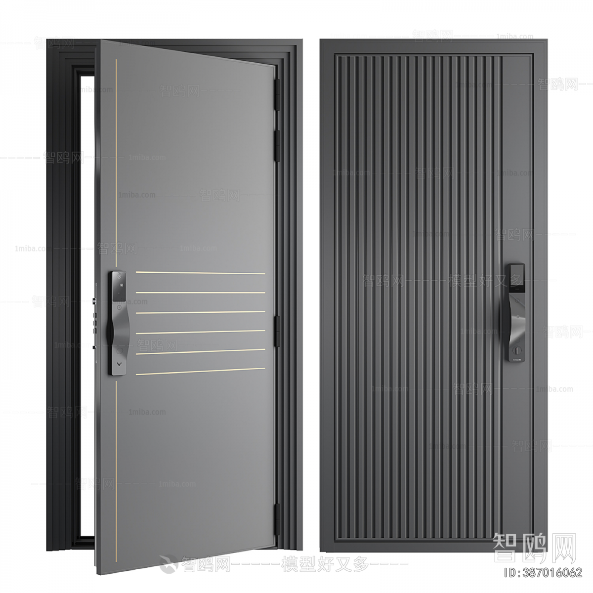 Modern Entrance Door